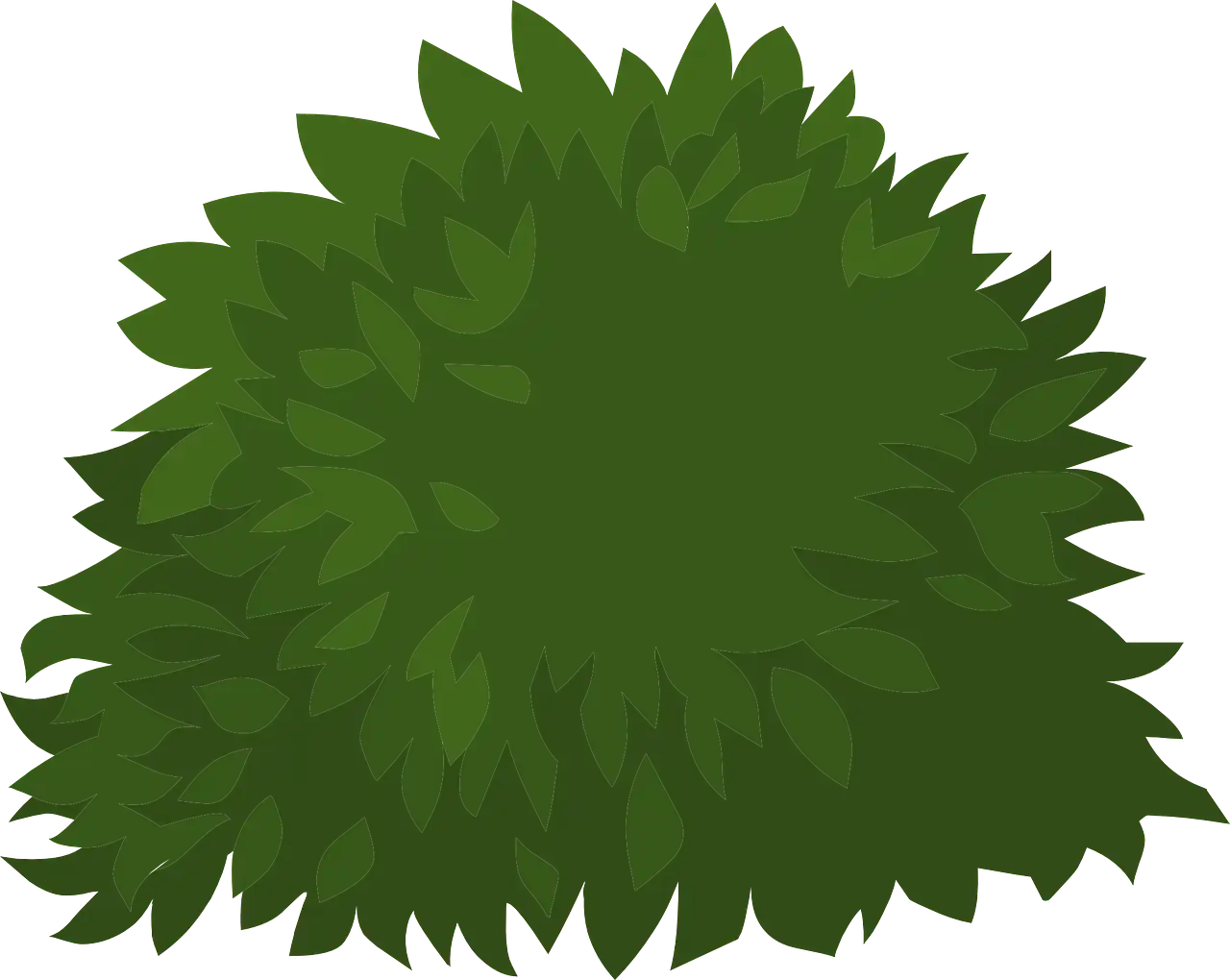 Krzaki